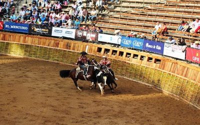 Imagen referencial Marco Antonio Correa Flores
Licencia Creative Commons Atribución-Compartir Igual 4.0