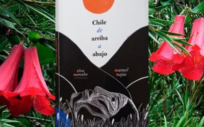 Chile de arriba a abajo