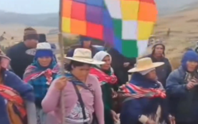 Cocaleros