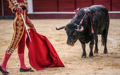 Corrida de toros