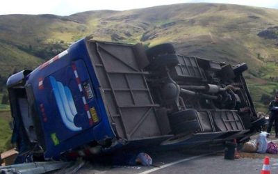 Despiste bus