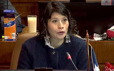 Diputada Ñanco