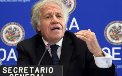 OEA argentino