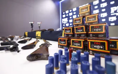 25 armas