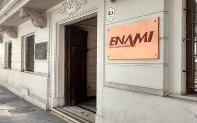 gobierno vicepresidente Enami