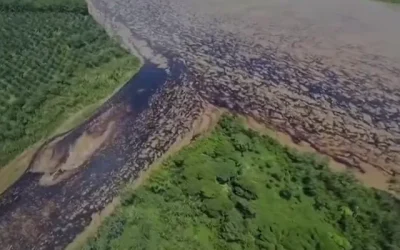 Ecuador