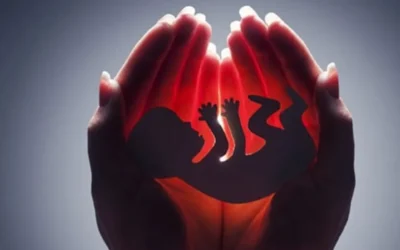 aborto