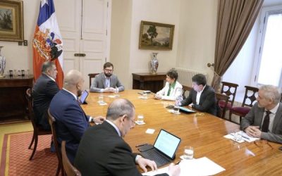 Boric: "No vamos a permitir que la delincuencia se tome nuestras calle"