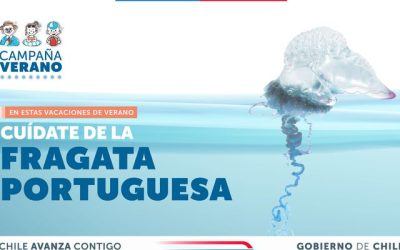 Fragata Portuguesa Foto MINSAL Chile