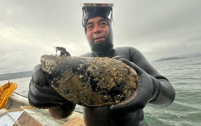 Choro gigante se hizo viral en redes sociales