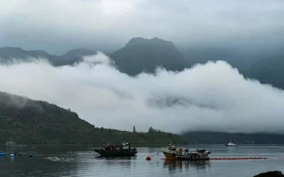 pescadores Reloncaví