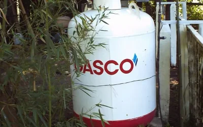 subsidio gas