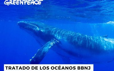Greenpeace tratado oceano