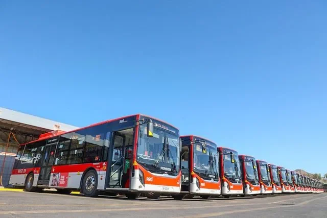 buses eléctricos