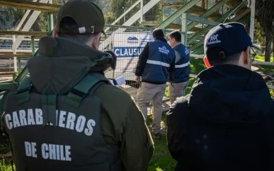 medialuna Peñalolén