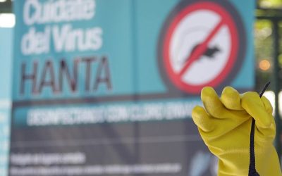 Paso hantavirus