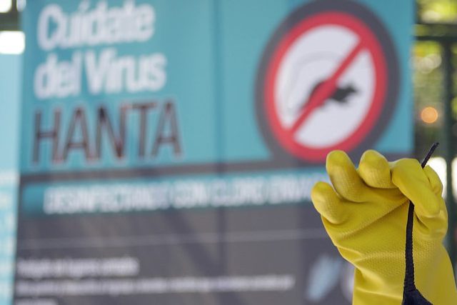 Paso hantavirus