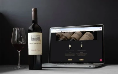 Vino chileno mejor mundo