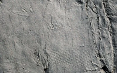 fósiles deshielo Alpes