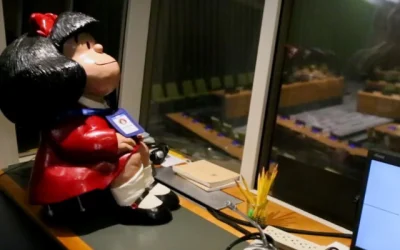 FOTO: ONU