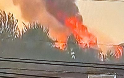 Incendio Bio Bio libre