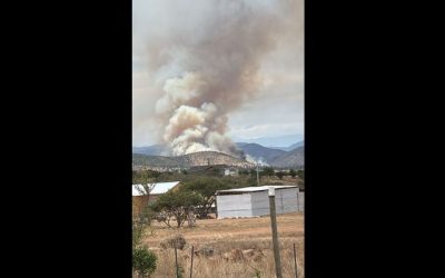 Incendio sector La Foresta Zapallar. Senapred