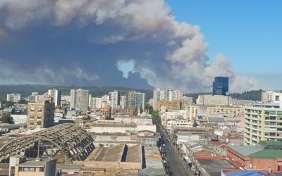 Crédito José Miguel Ortíz