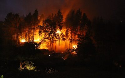 Incendio forestal en Chile imagen referencial