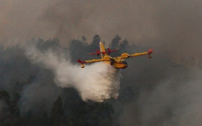 Crédito Creative Commons Atribución-CompartirIgual 2.0 Foto referencial