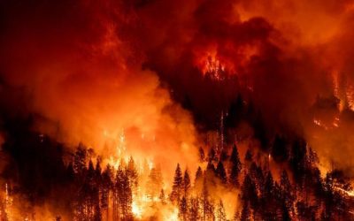 Foto referencial GreenPeace