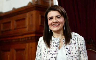 formalización Sabaj Hermosilla