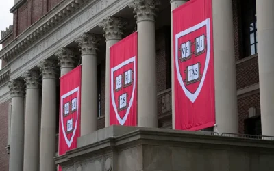 estudiantes internacionales