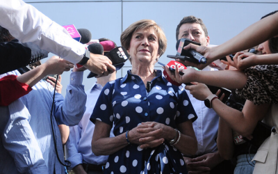 Matthei primaria amplia