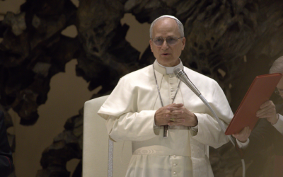 Foto: Edgar Beltrán / El Pilar – Wikimedia Commons (CC BY-SA 4.0)