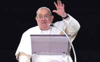 alta papa Francisco
