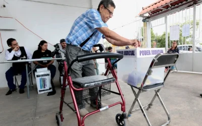 Encuesta Panel Ciudadano UDD