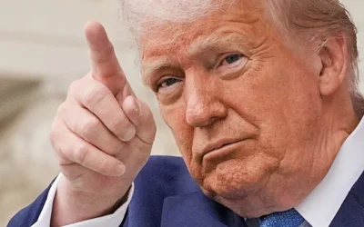 Trump Harvard