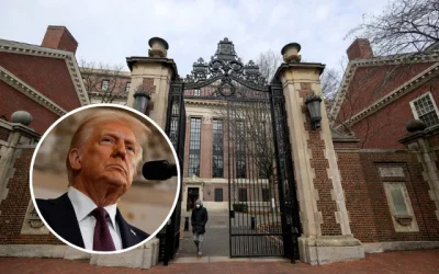 Trump Harvard