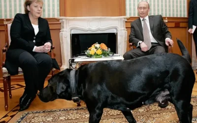 Putin Merkel