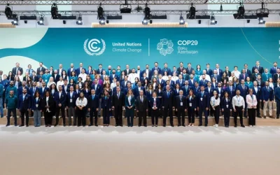 COP29