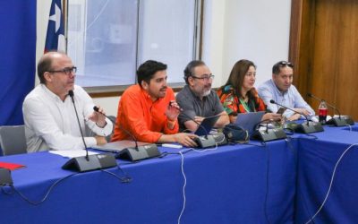 Radio U de Chile Fernanda Araneda negociaciones-municipales