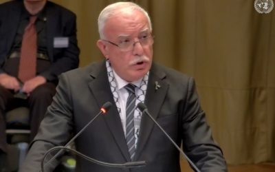 Riyad al-Maliki