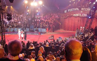 La familia circense chilena ha dejado su huella en la historia al obtener el primer lugar en la 12ª edición del Festival Internacional del Circo Elefant d'OR, celebrado del 22 al 27 de febrero. Han superado el desafío más grande de sus vidas: una troupe de tres trapecios volantes en paralelo con 15 trapecistas y un cuádruple salto mortal.