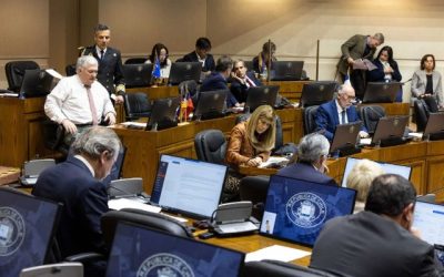 Senado Ministerio de Seguridad