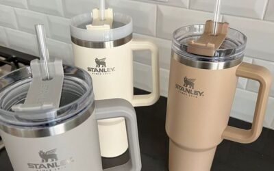 Los videos difundidos en plataformas como TikTok, donde los usuarios exhiben pruebas de plomo realizadas en sus Stanley Cups y otros termos de acero inoxidable, han generado una considerable inquietud.