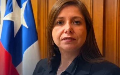 Subsecretaría de Seguridad Pública, Pilar Giannini