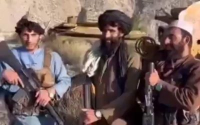 Talibanes