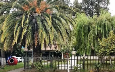 Municipalidad de Trehuaco