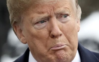 Trump 7