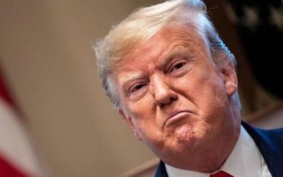 Trump 8